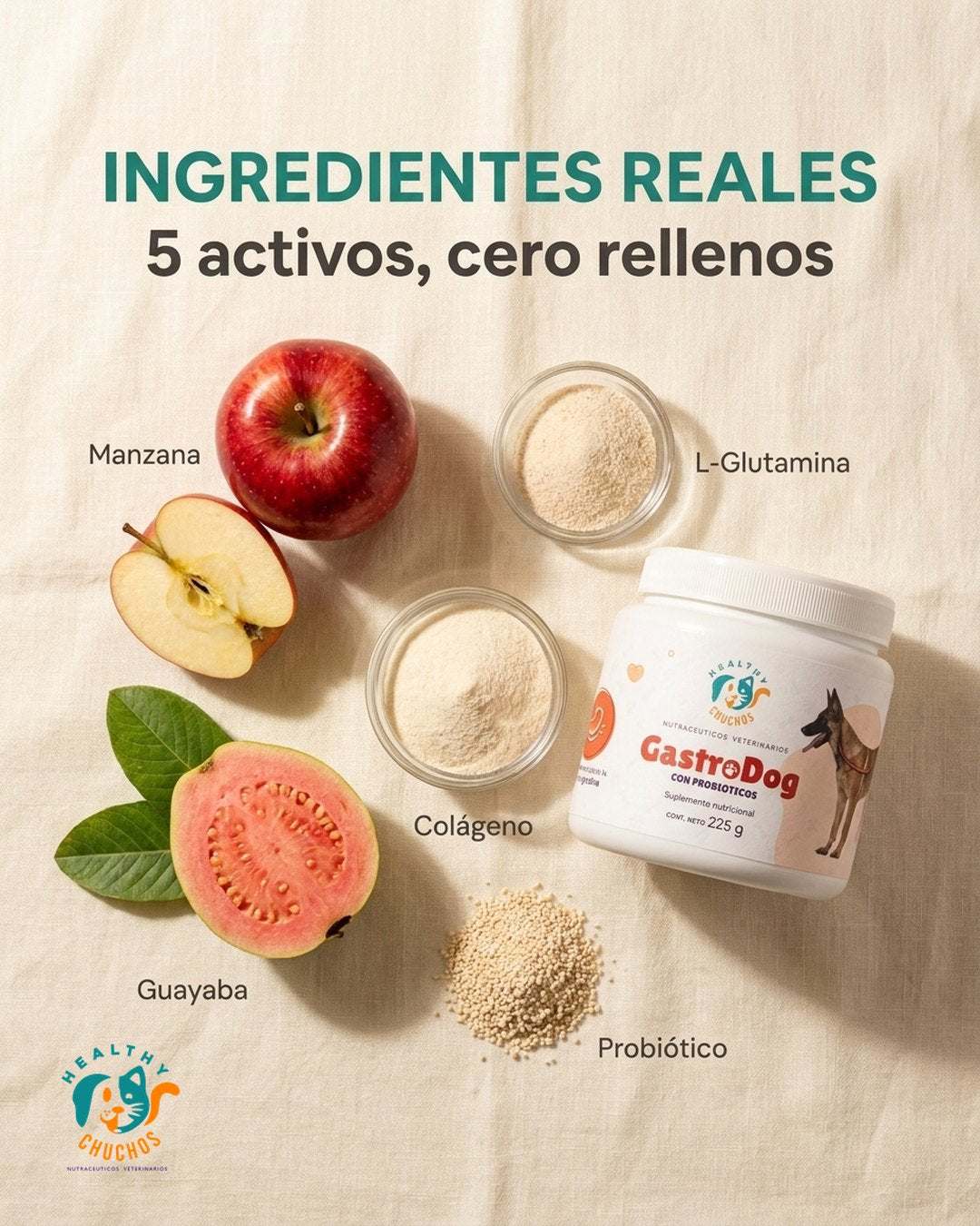 Ingredientes GastroDog