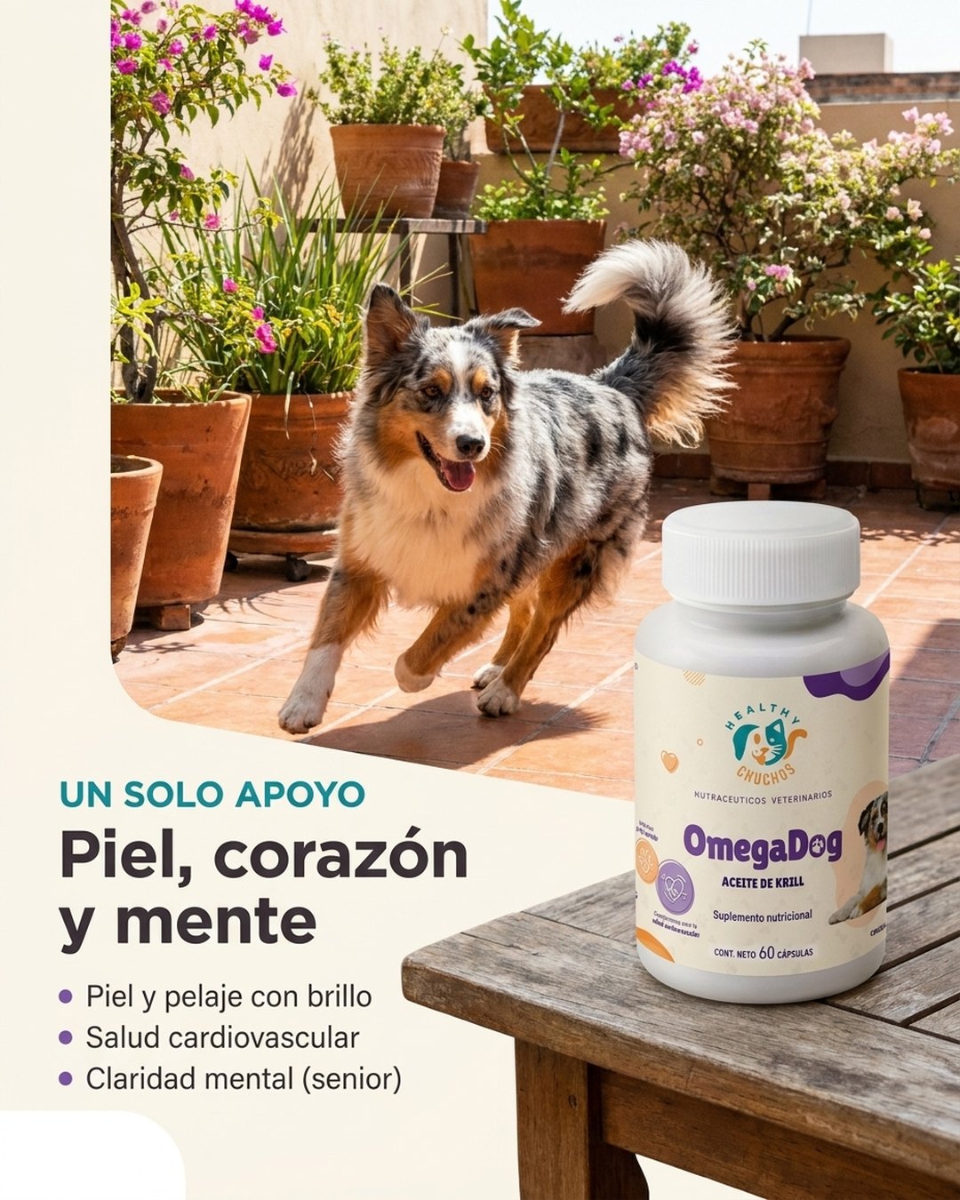 Estilo de vida OmegaDog