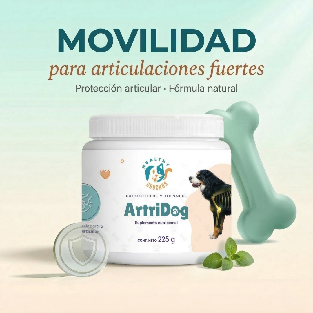 ArtriDog 225 g junto a Bernese Mountain Dog senior