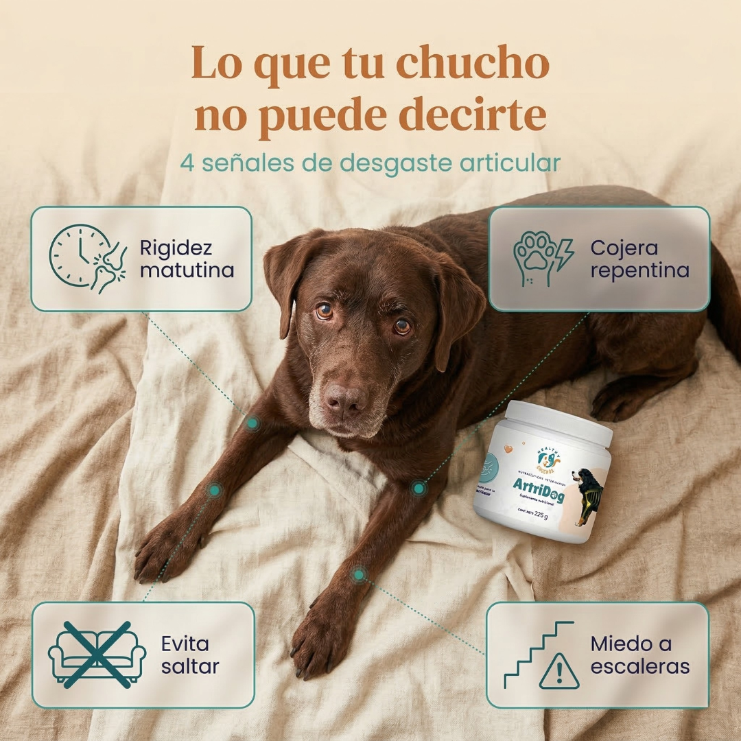 ArtriDog