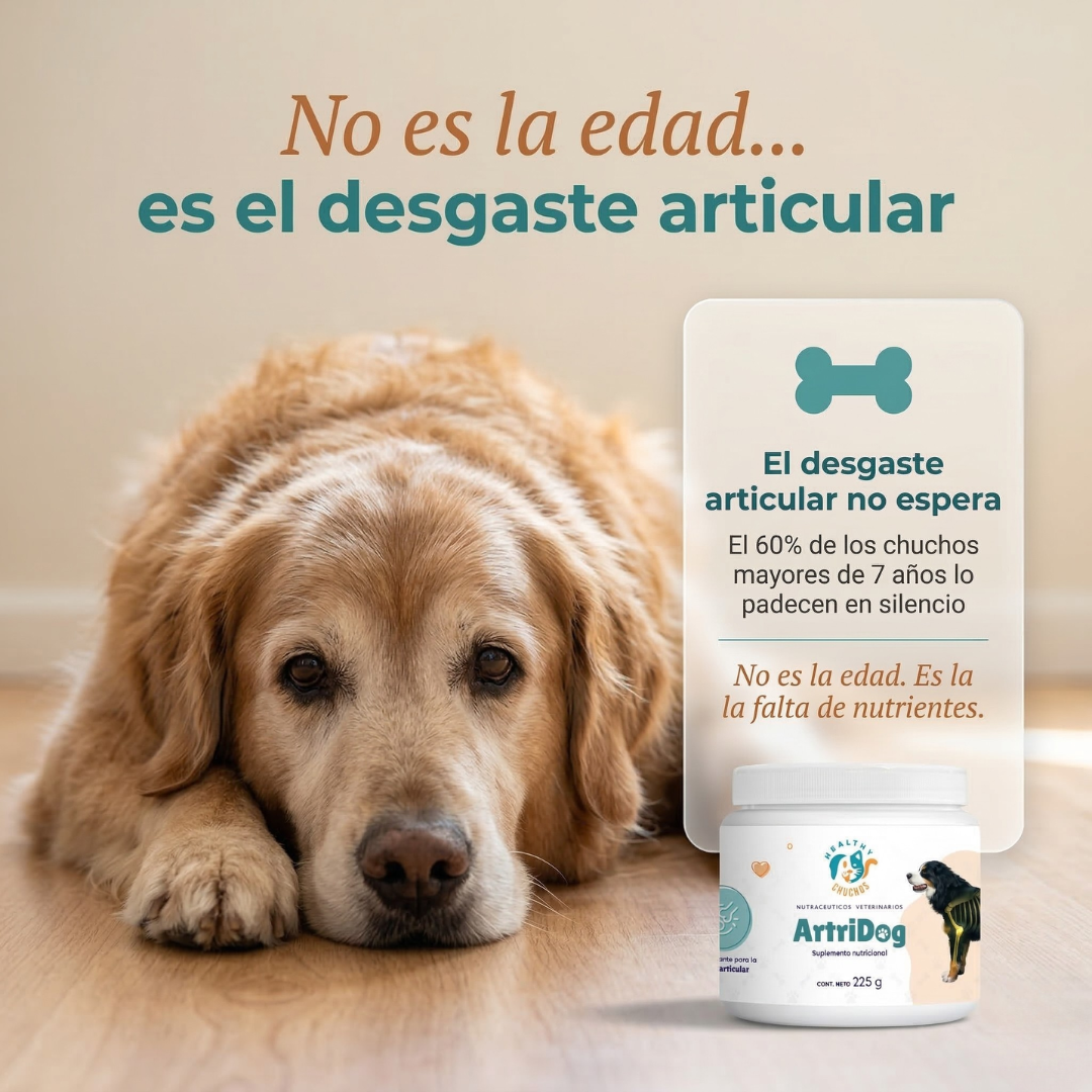 ArtriDog