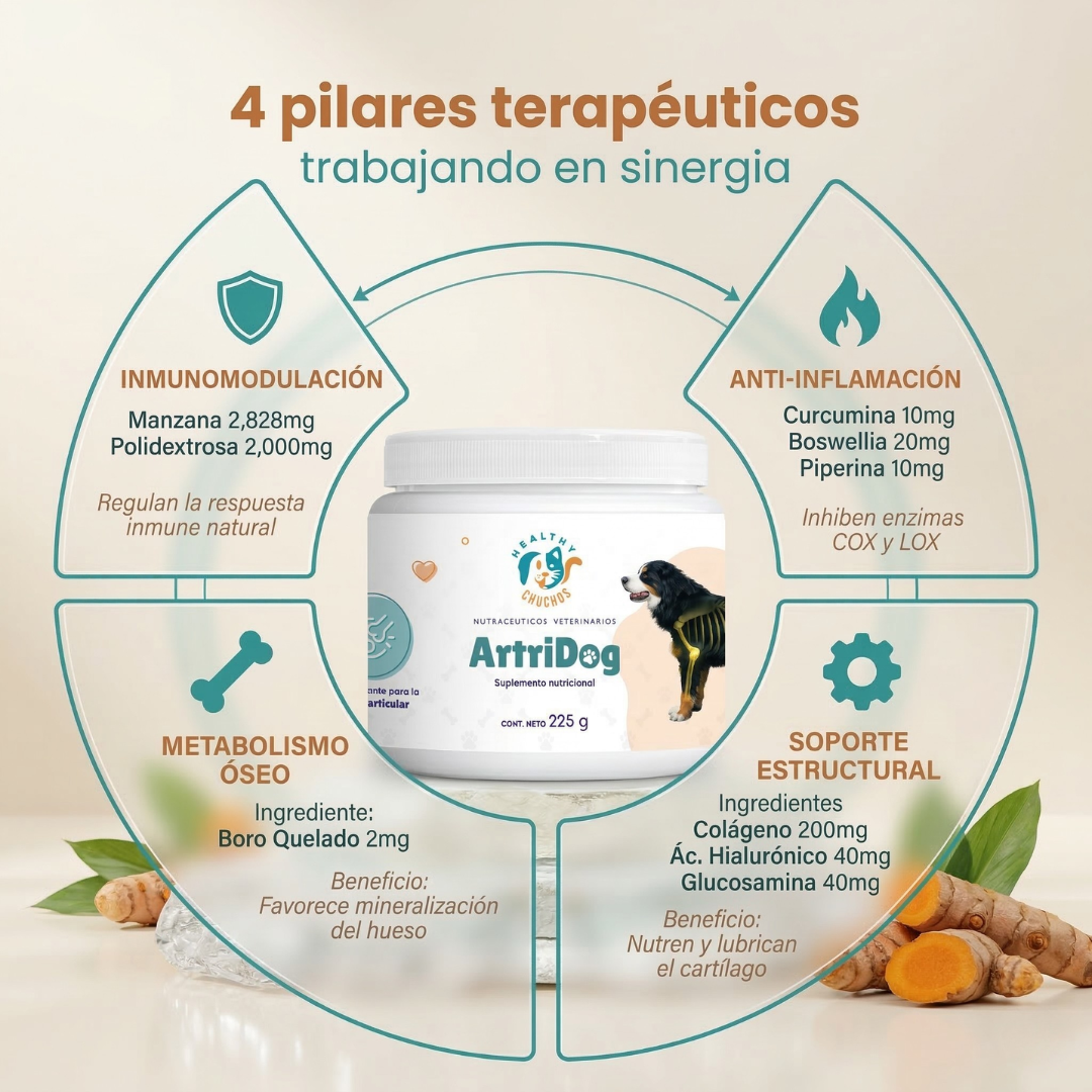Cómo actúa ArtriDog: 4 pilares en una dosis