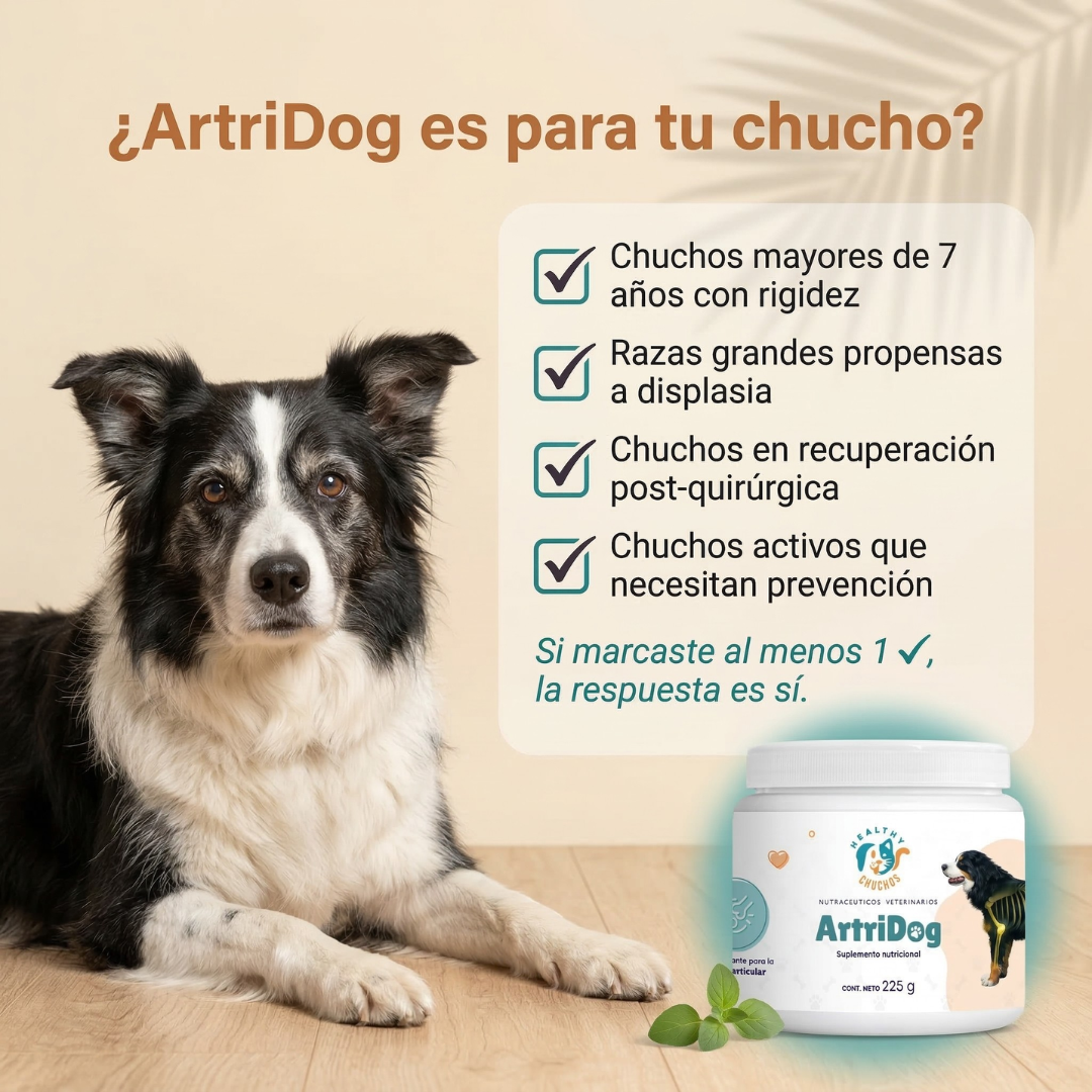 Perfiles ideales para ArtriDog: razas grandes, seniors, post-cirugía, displasia