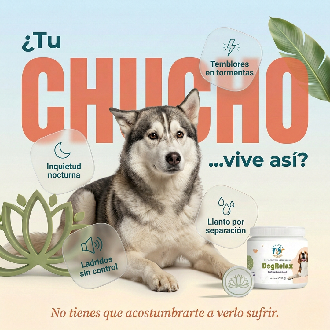 DogRelax para perros con ansiedad y dolor articular - enfoque neuro-somático