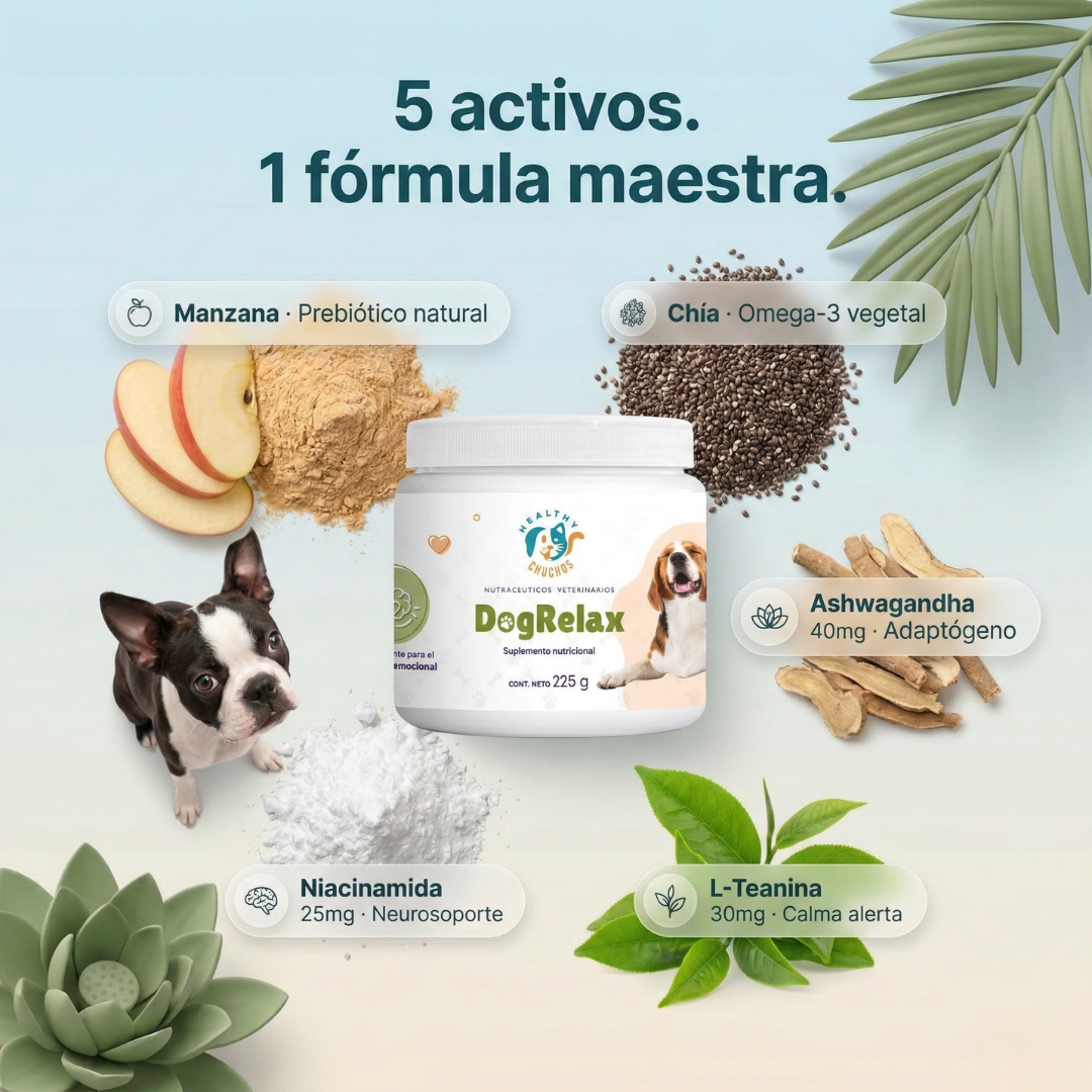 Fórmula DogRelax - 5 ingredientes naturales con porcentaje y dosificación por porción
