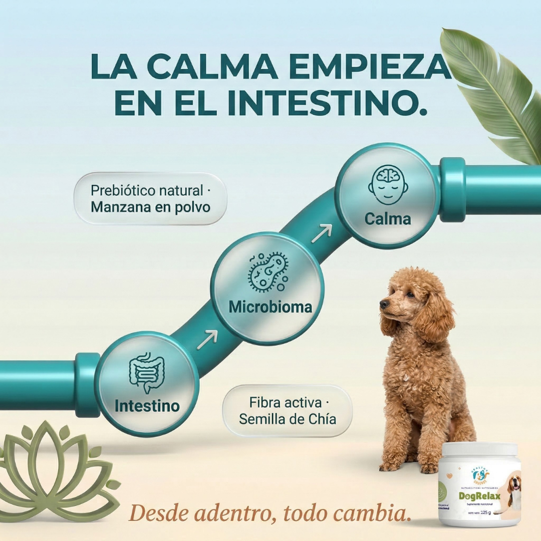 Eje intestino-cerebro canino - prebióticos manzana y chía en DogRelax