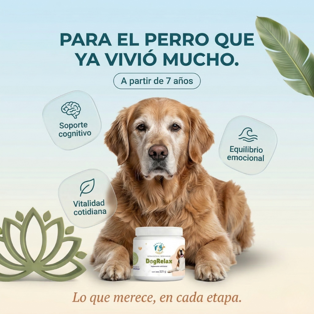 DogRelax para perros senior - soporte cognitivo articular y emocional geriátrico