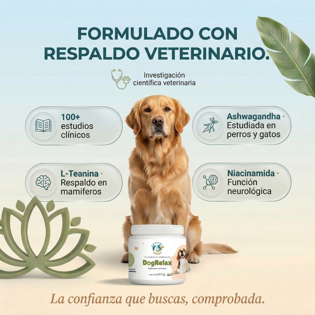 DogRelax respaldado por veterinarios - estudios clínicos en perros y gatos