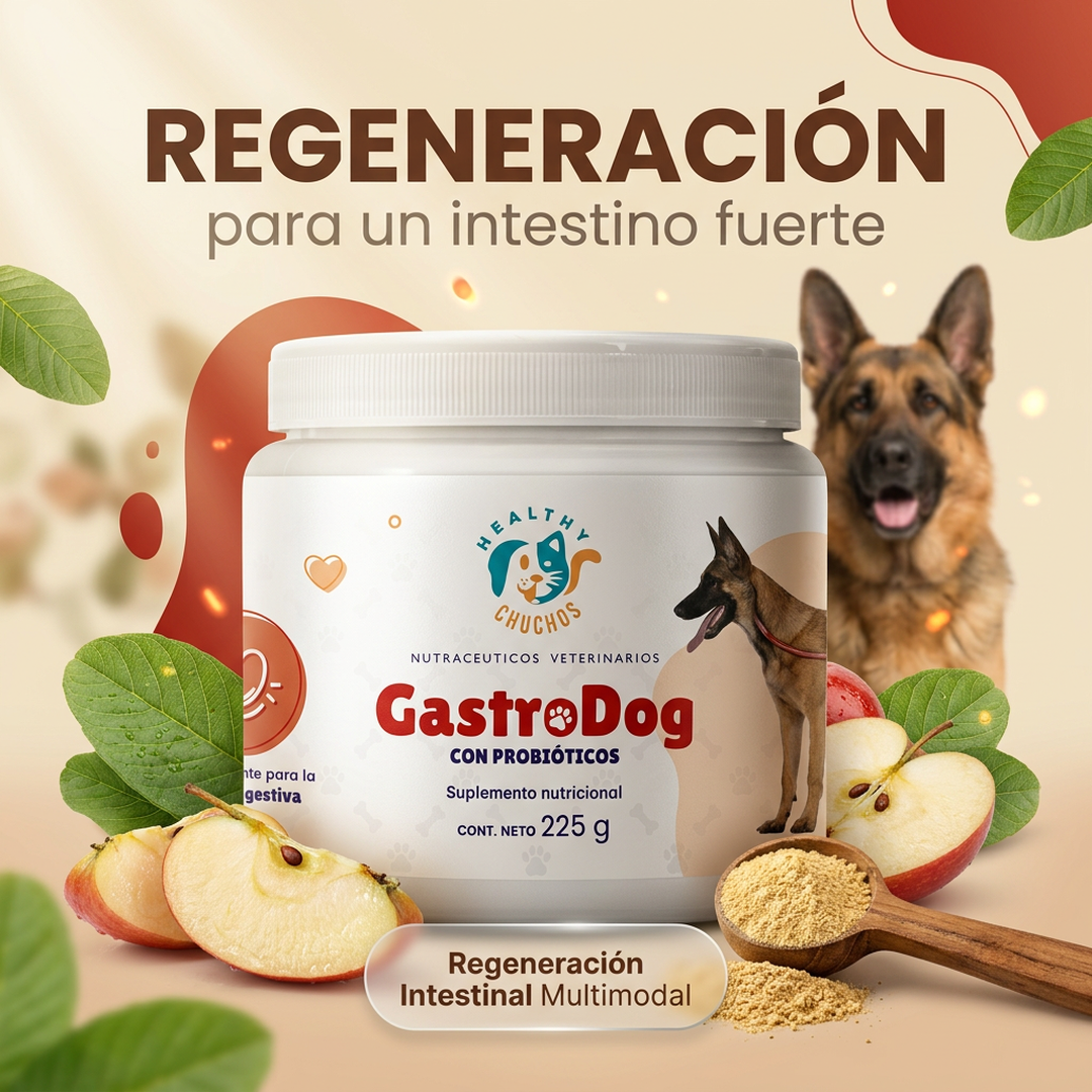 GastroDog 225 g junto a Belgian Malinois senior