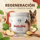 OmegaDog