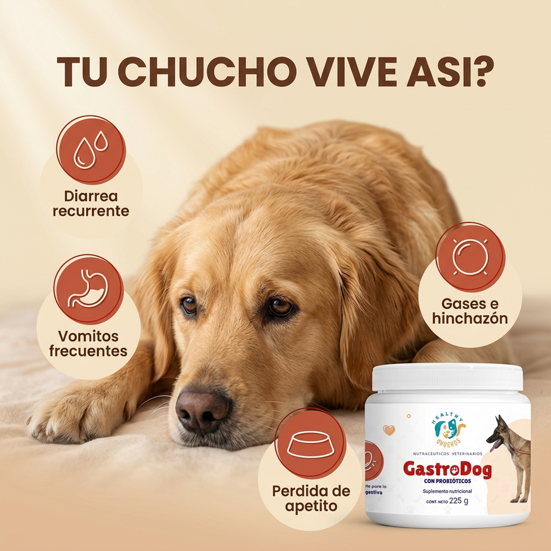 GastroDog regenera la mucosa intestinal