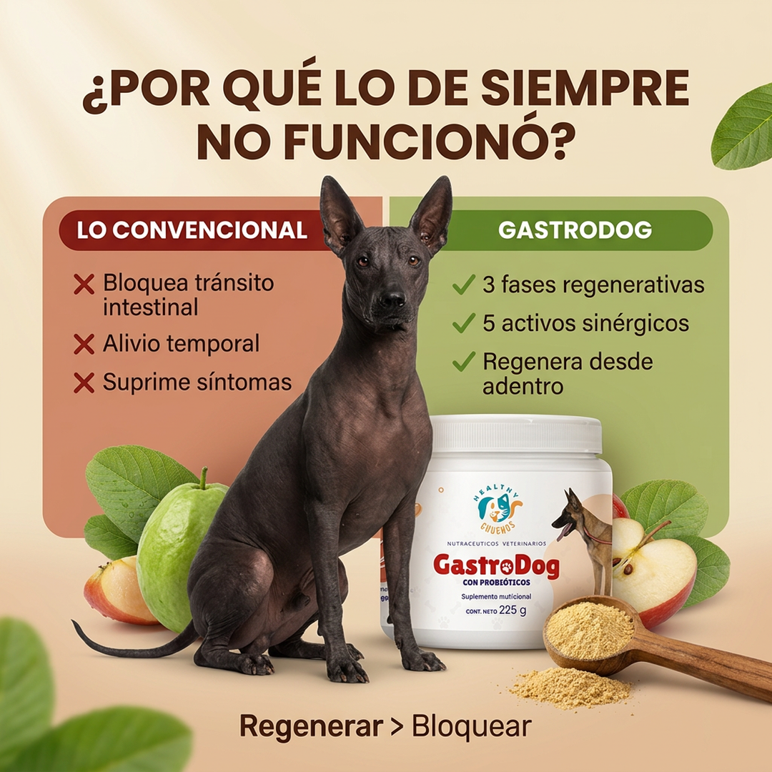 GastroDog vs un genérico para intestinos