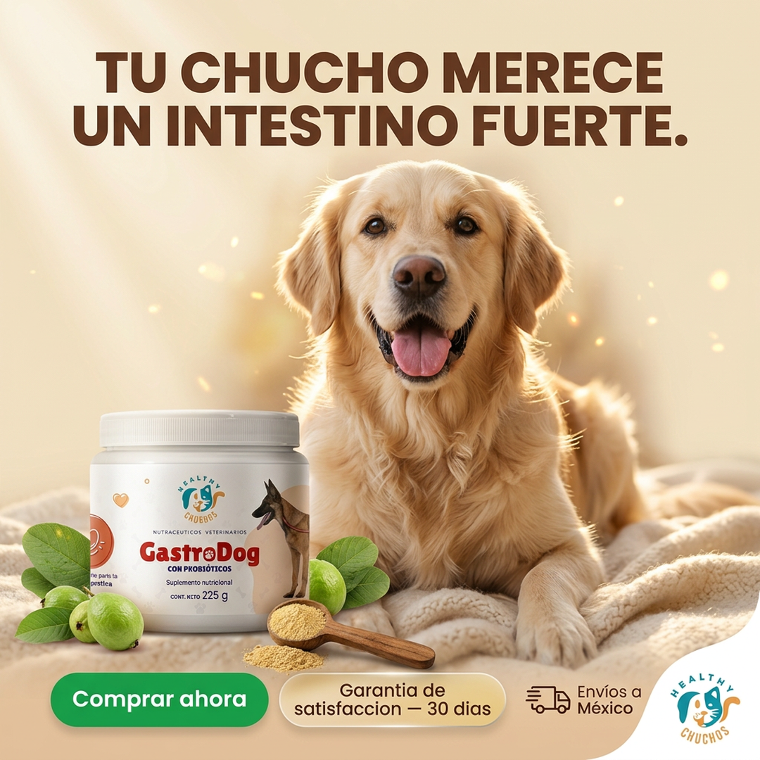 Etiqueta GastroDog con 9 activos y dosis terapéutica