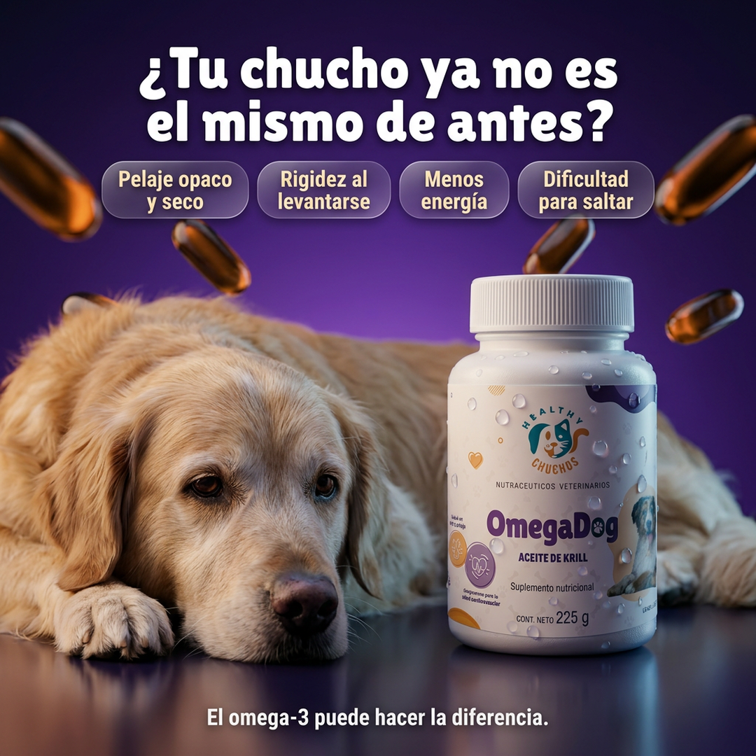 OmegaDog regenera la barrera cutánea