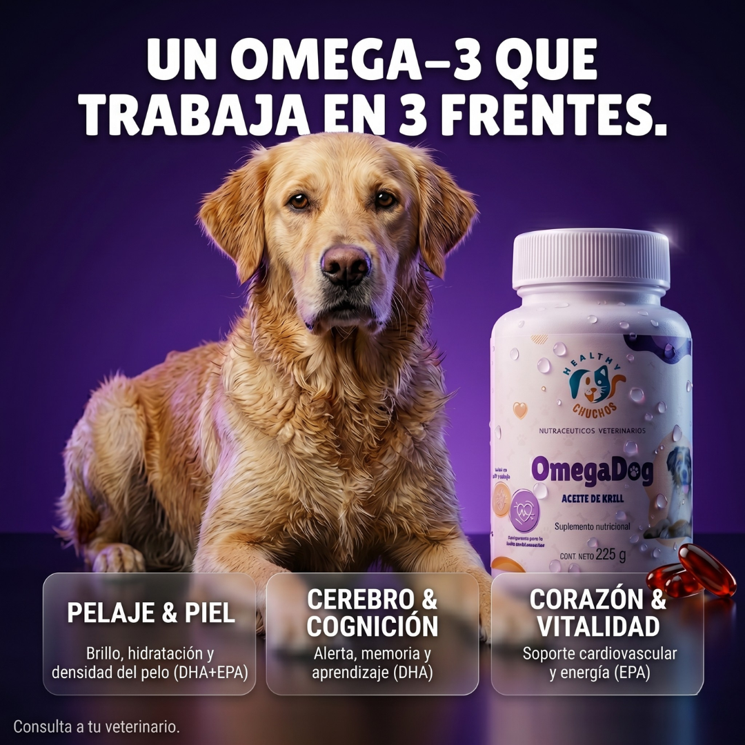 Polvo OmegaDog cayendo en cuchara con manzana fresca