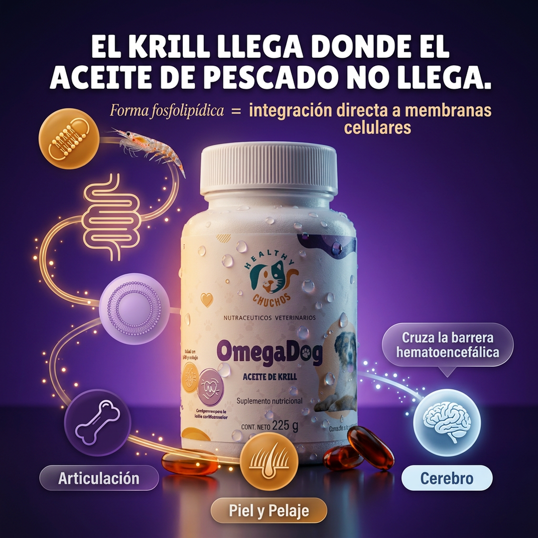 Cómo actúa OmegaDog: 4 pilares en una dosis