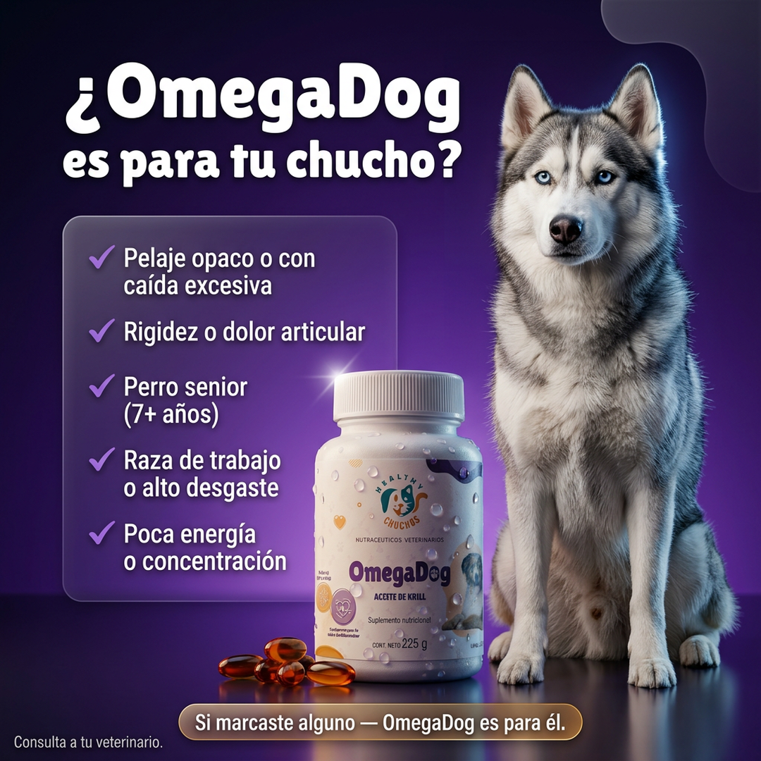 Perfiles ideales para OmegaDog: razas grandes, seniors, post-cirugía, displasia