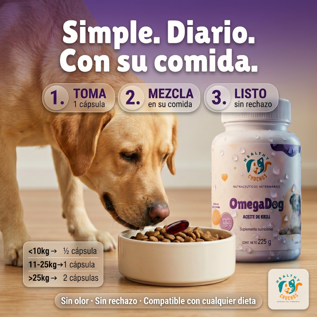 Cómo darle OmegaDog a tu chucho con la cuchara dosificadora
