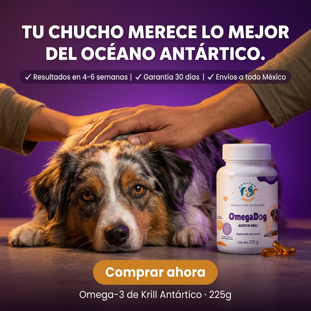 Etiqueta OmegaDog con 9 activos y dosis terapéutica