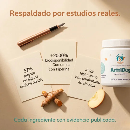 Estudios respaldando los activos de ArtriDog