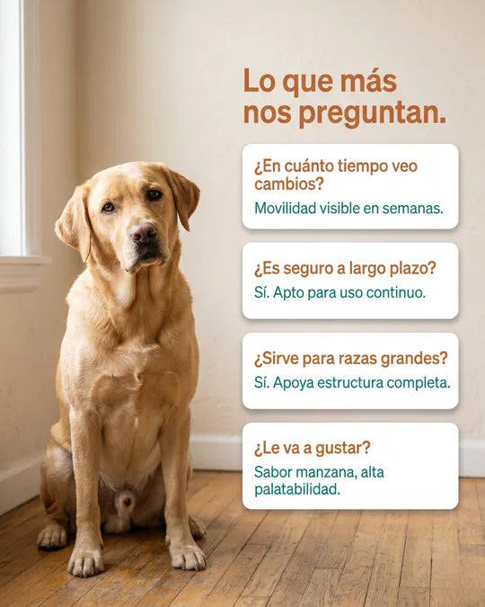 Preguntas frecuentes sobre ArtriDog