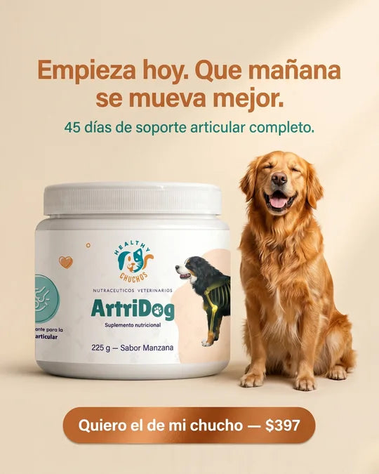Empieza hoy con ArtriDog