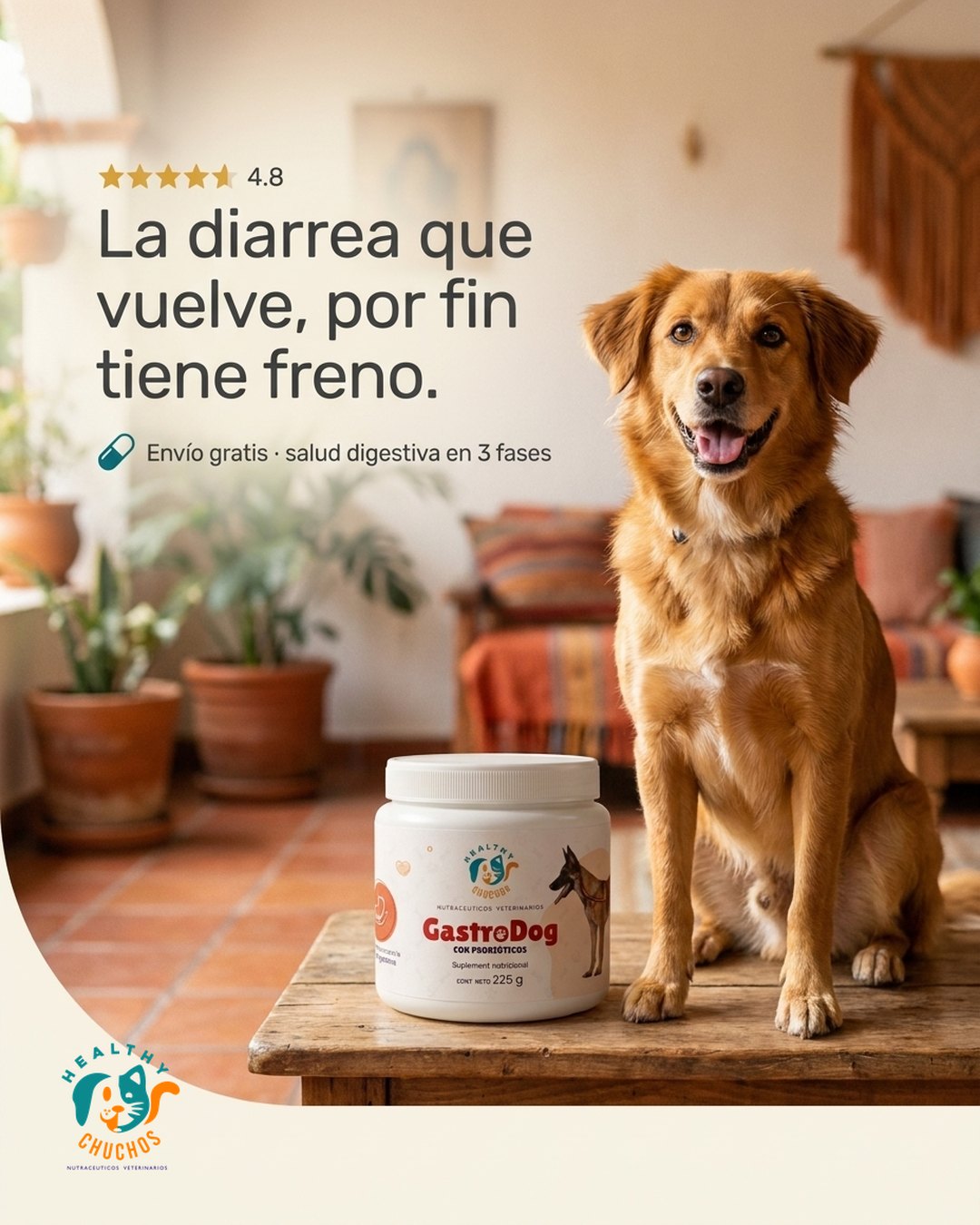 ¿Tu chucho batalla