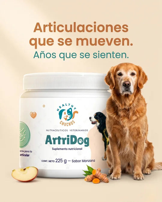 ArtriDog 225 g junto a Golden Retriever senior