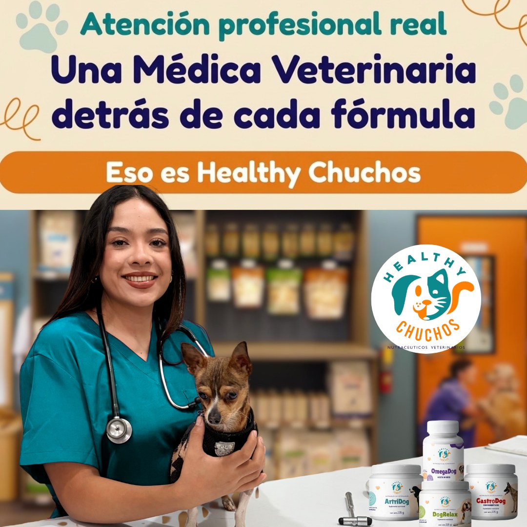 Monse, Médica Veterinaria de Healthy Chuchos, en consulta con un chucho