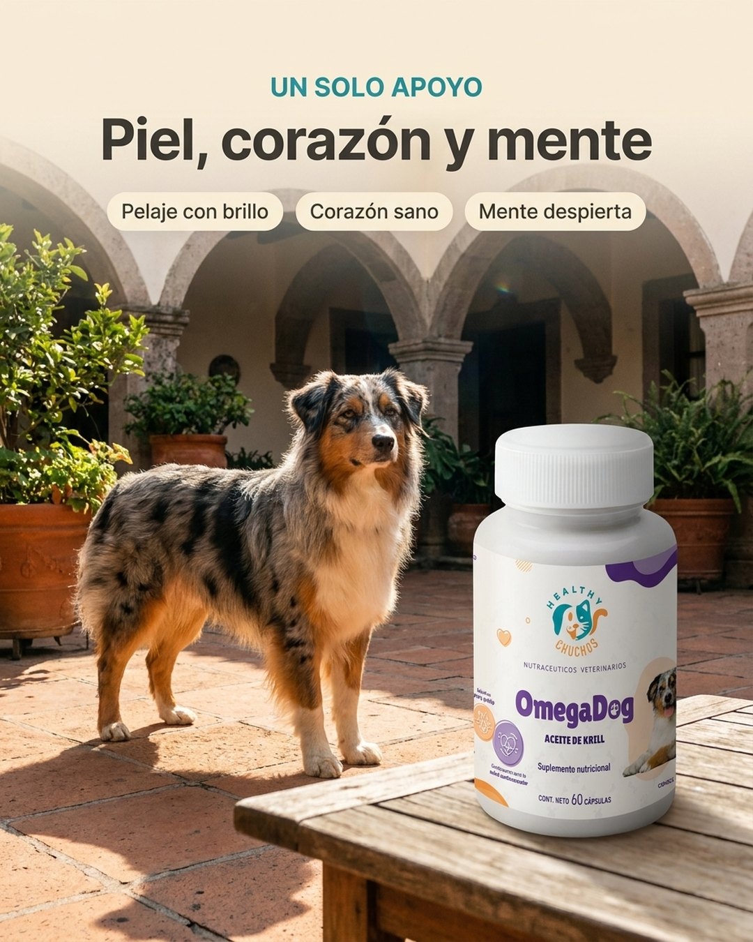 Piel, pelaje, corazón y mente:
