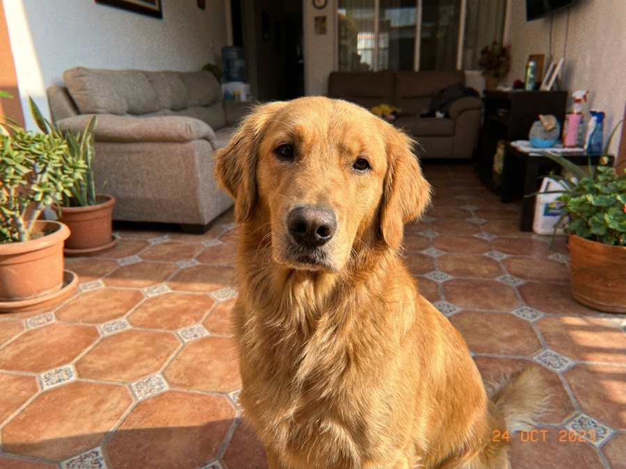 Foto de Roberto M.